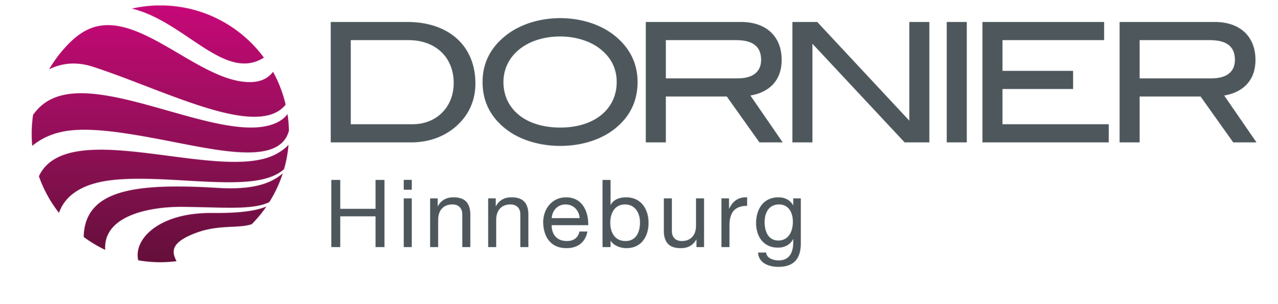Dornier Hinneburg Logo